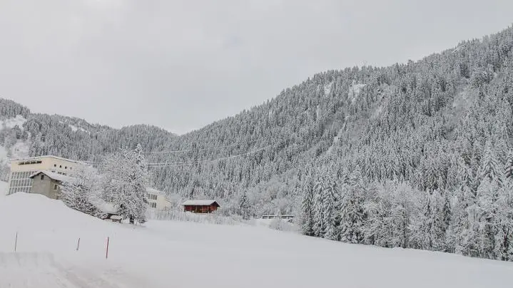 73G132341 - CHALET BELLEVILLE - HAUTELUCE