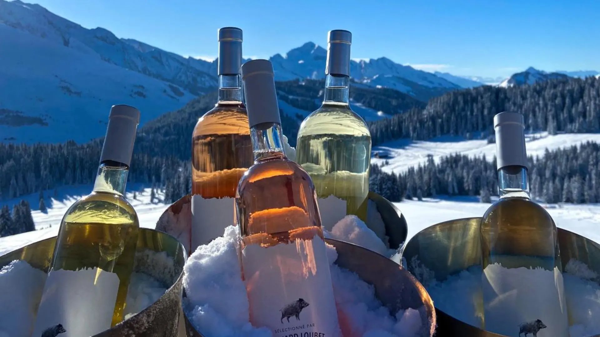 Le Grizzly-Le Plateau de Beauregard