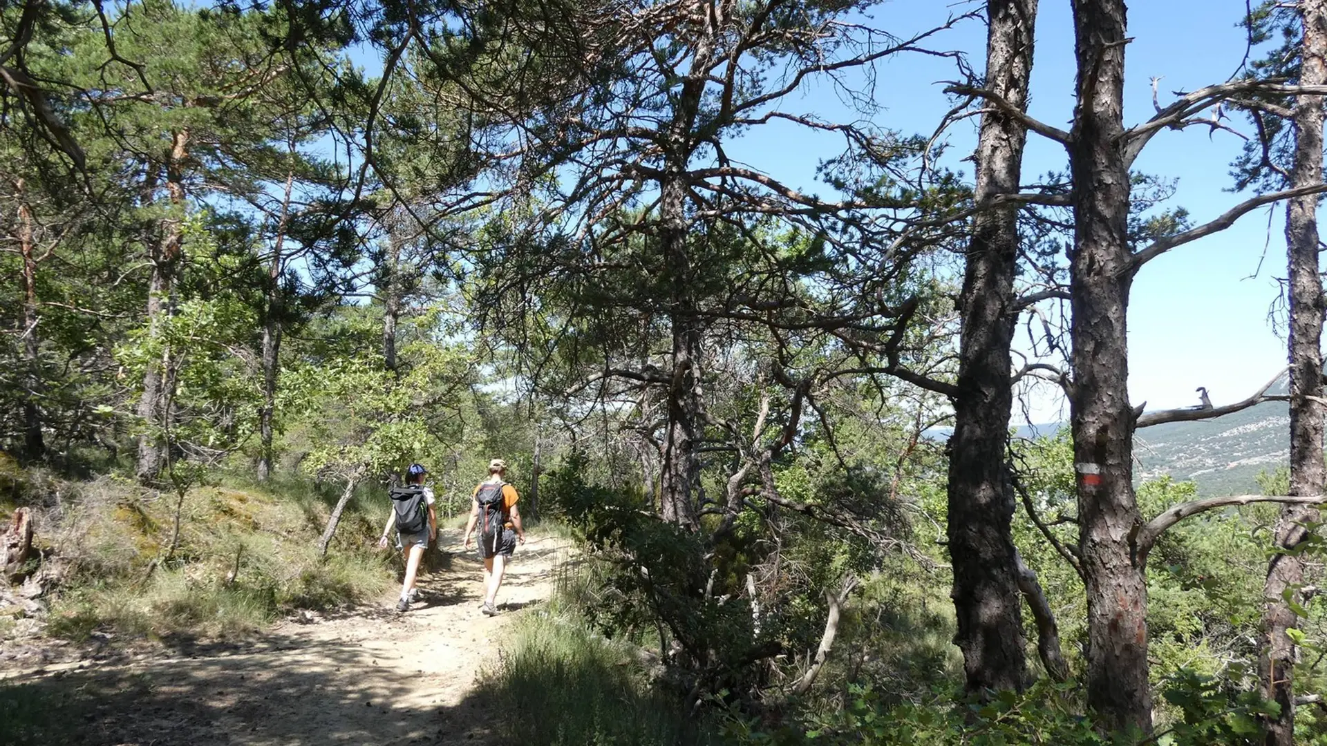 Chemin de l'Ubac