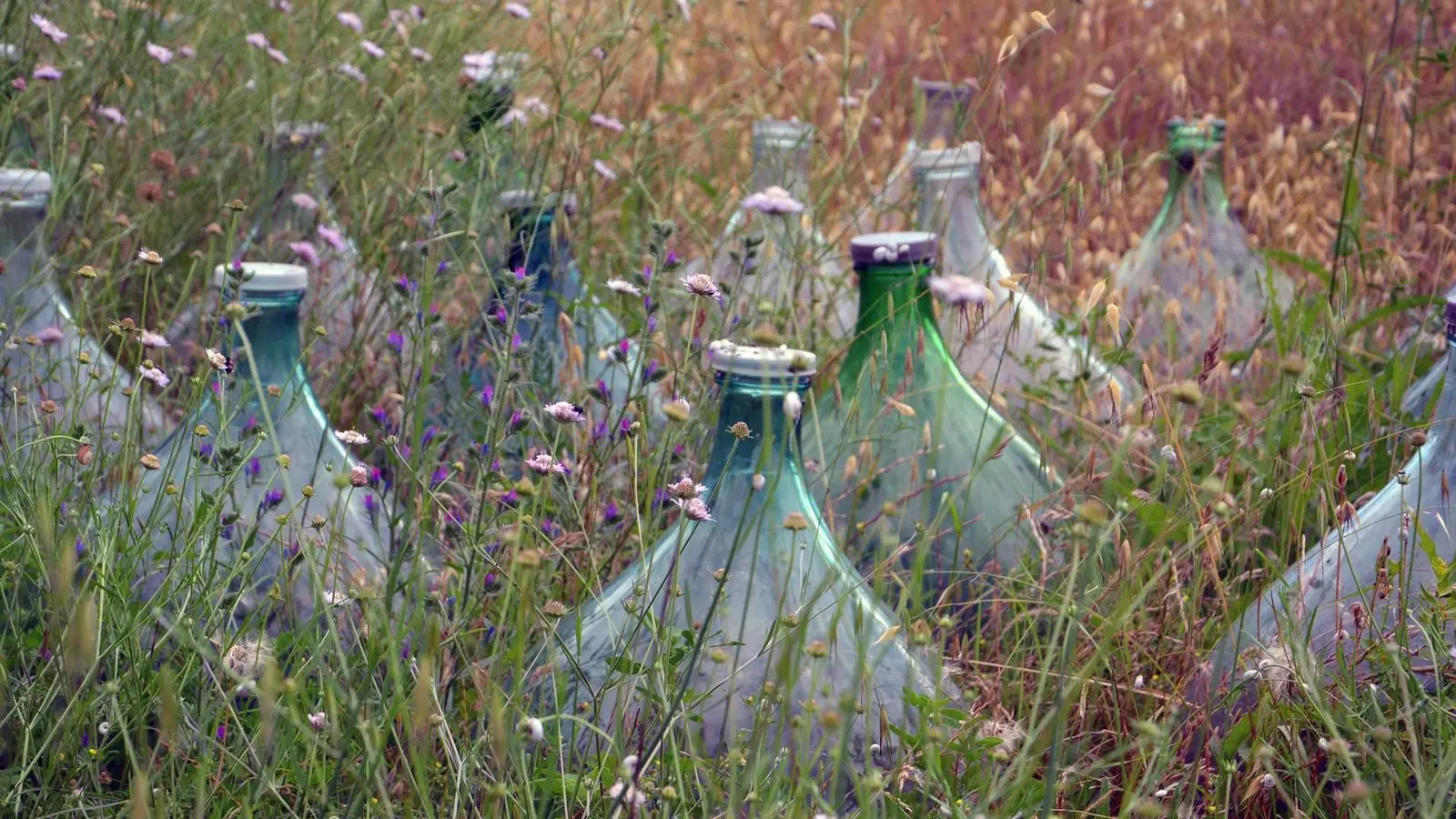 Domaine Cadavre exquis