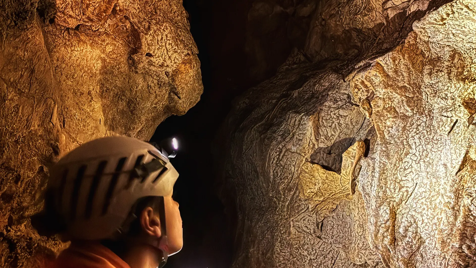 Explorer chaque recoin, le coeur enthousiaste !