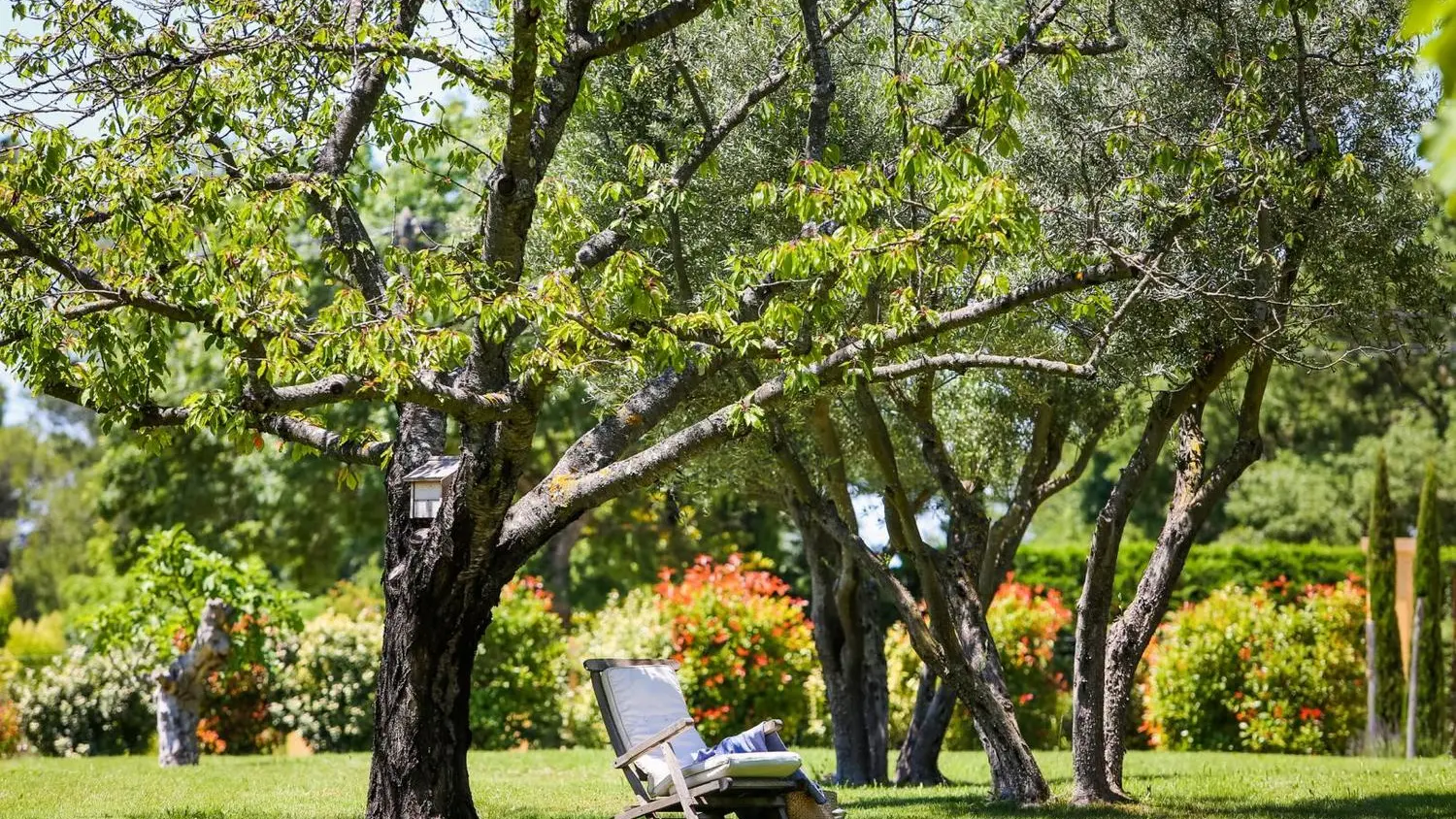 Jardin
