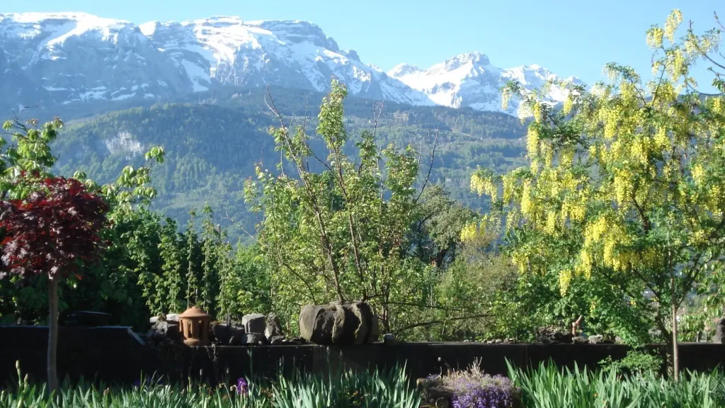Depuis la cour de la maison au printemps