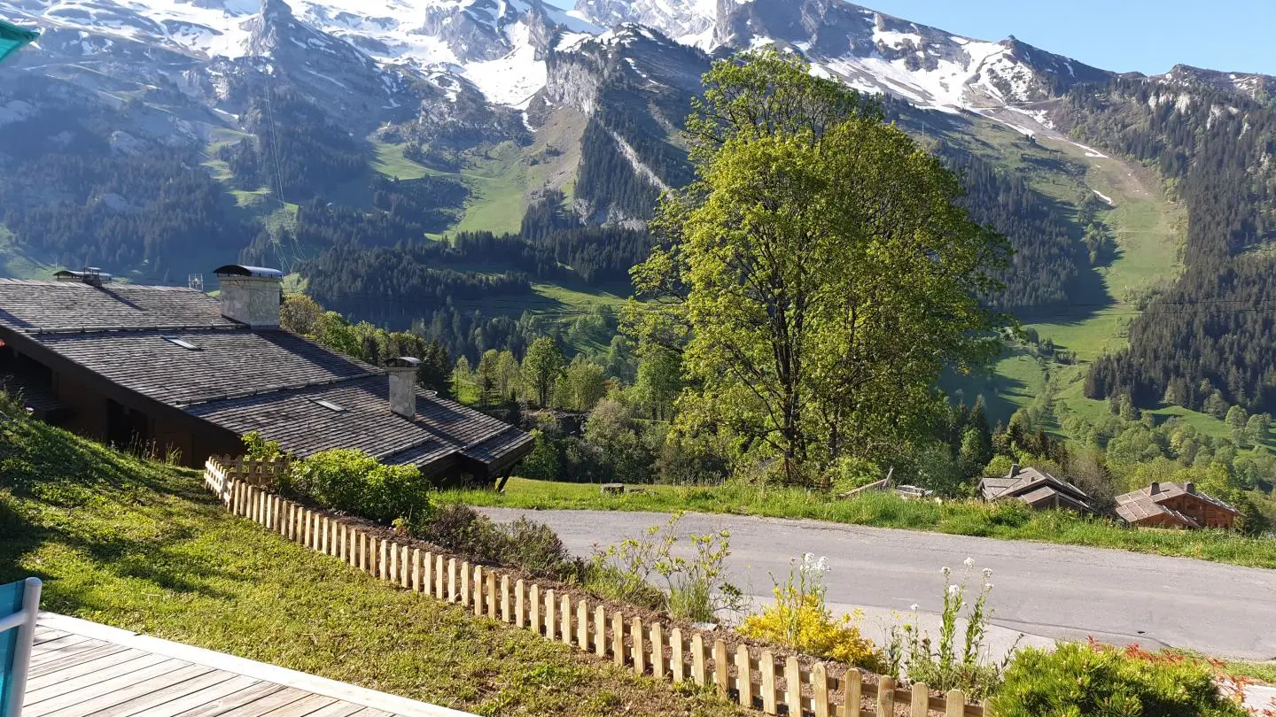 Vue montagne depuis la terrasse avec exposition sud.