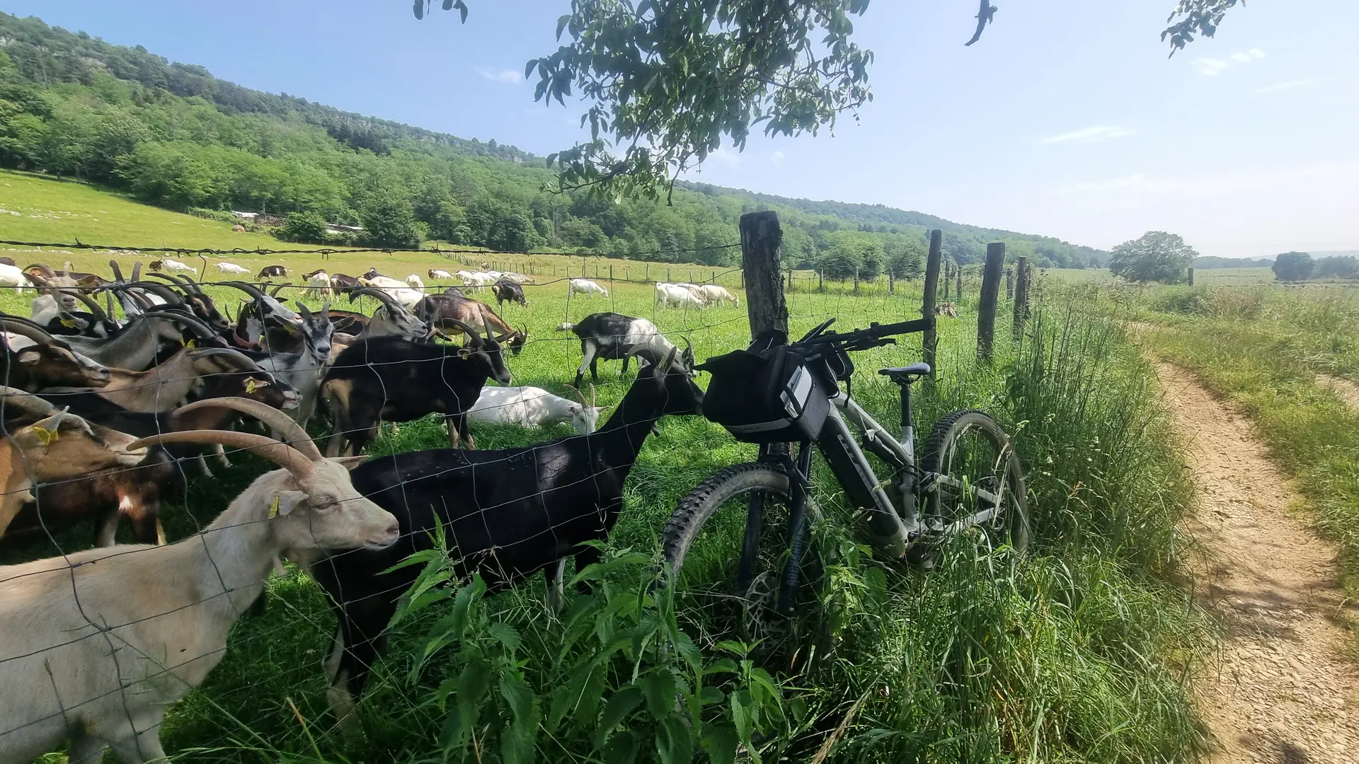 Circuit VTT n°7 (rouge) - Drom - Villeversure