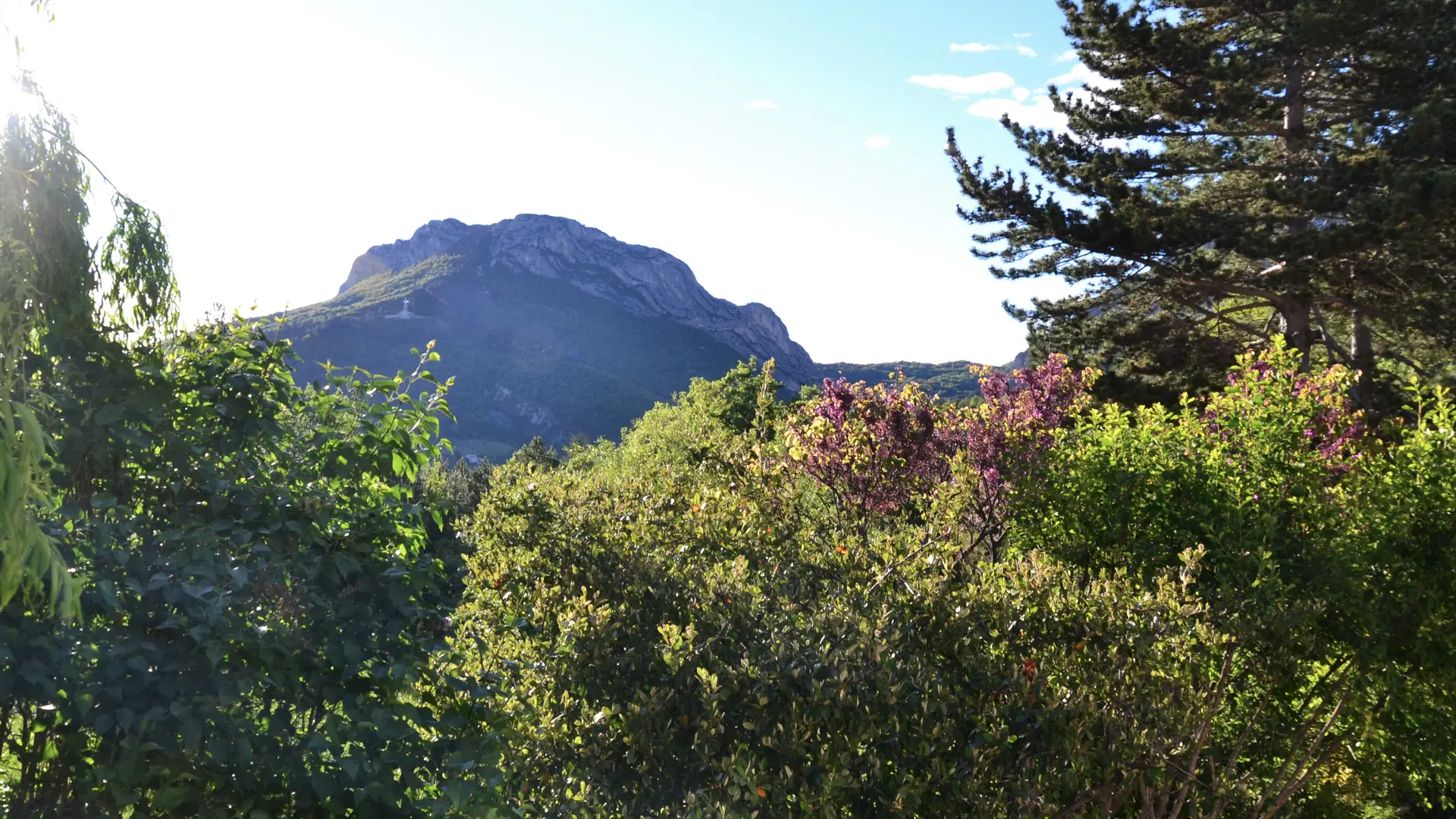 Vue sur la montagne