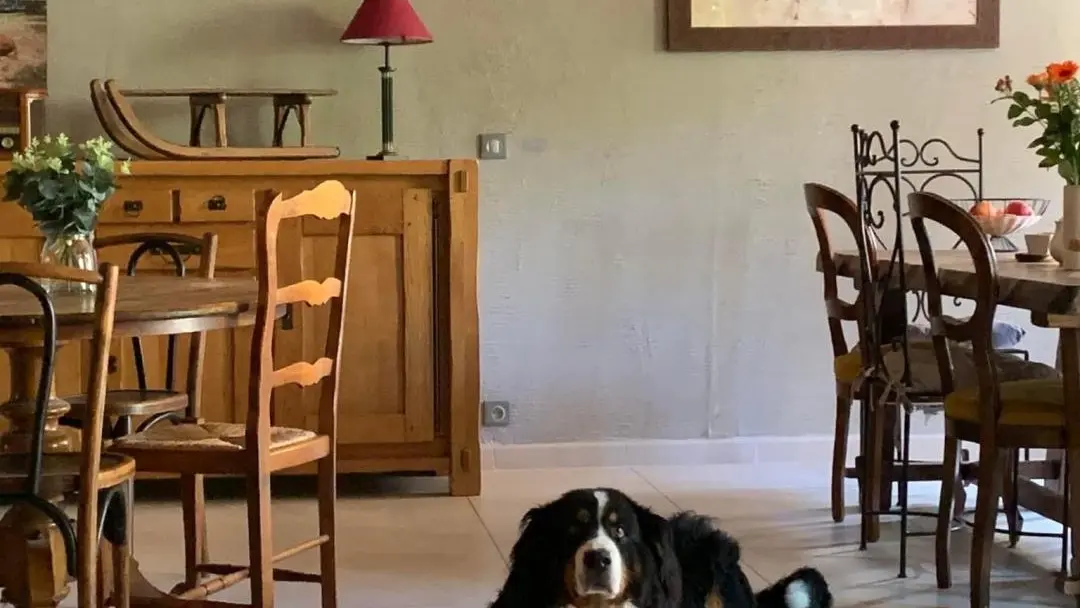 salle a manger petits dejeuner