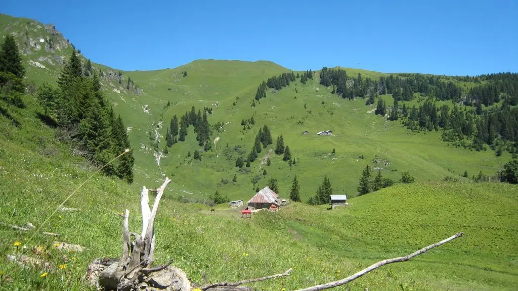 L'Etrye au pied du Mt de Grange (2433m)