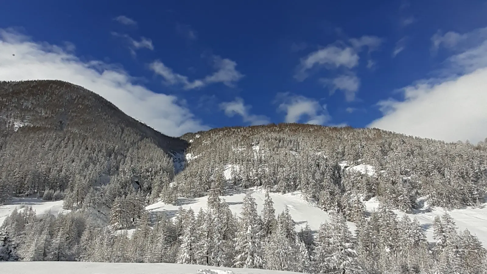 Appartement 4 personnes - Les Chazalets n°1