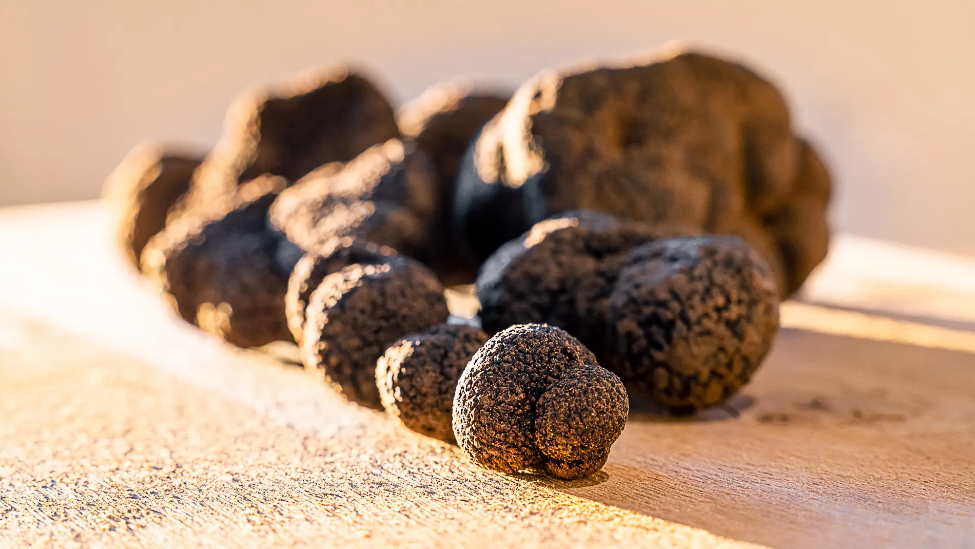 La Provence en Bouteille