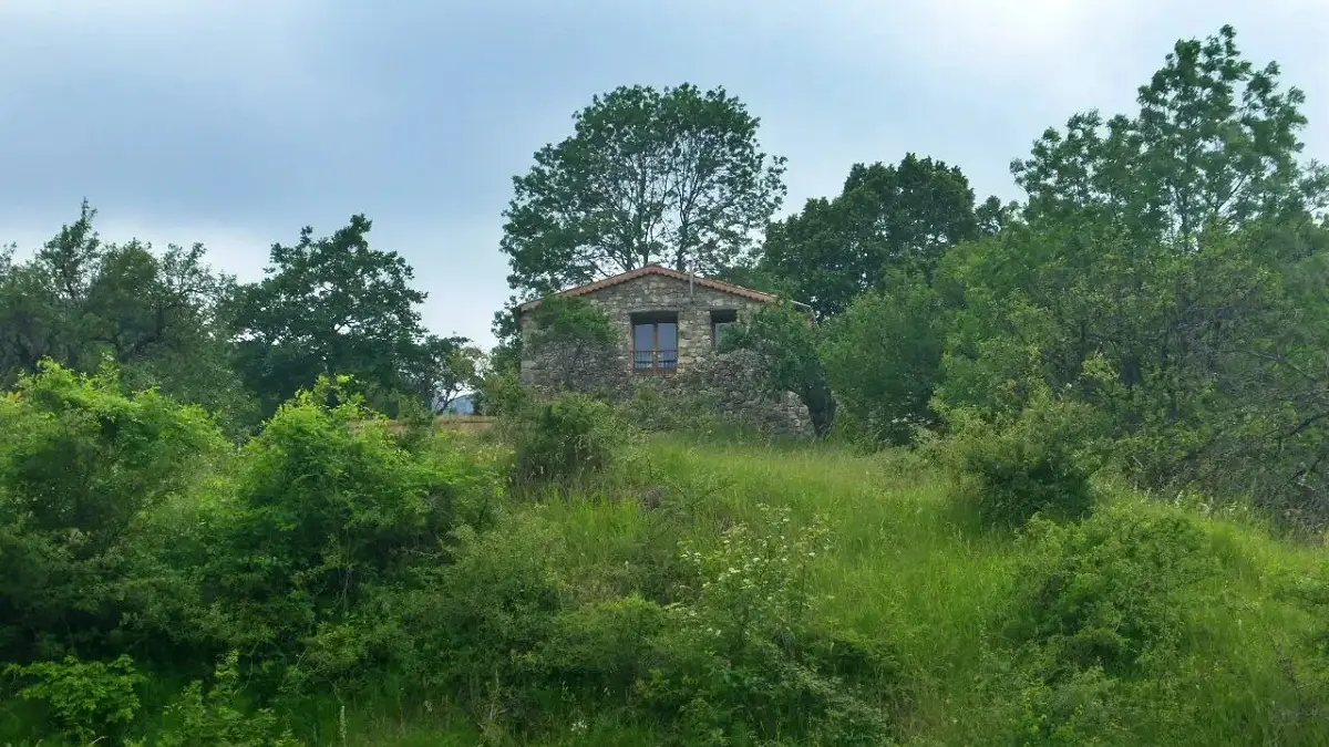 Contre plongée