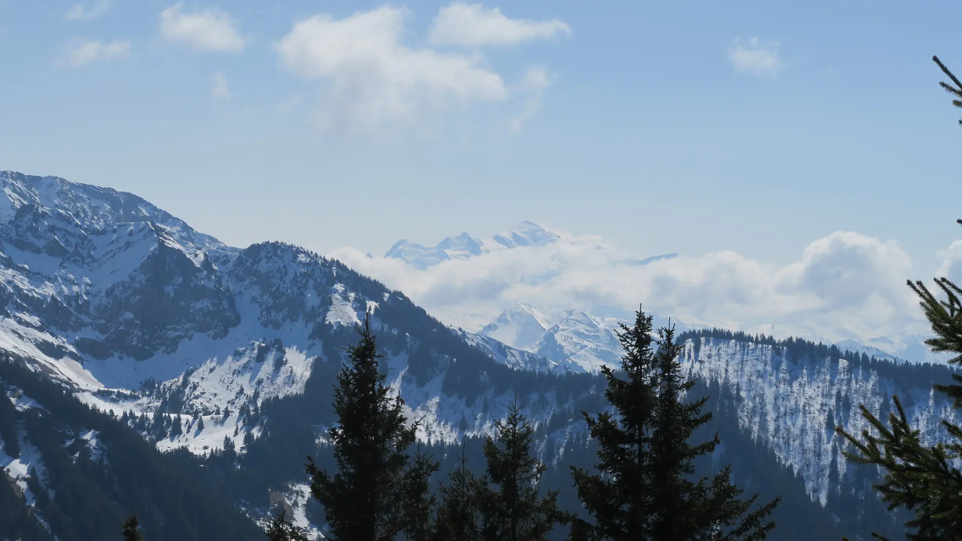 Mont Blanc