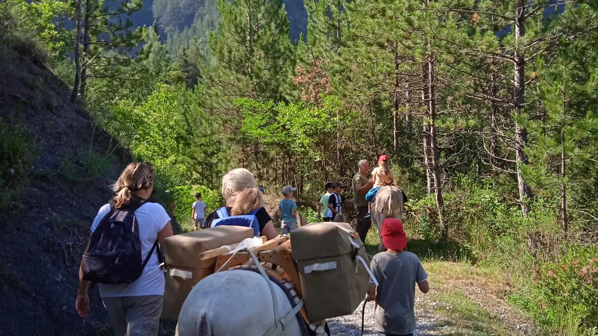 Balade avec Tis'Ânes