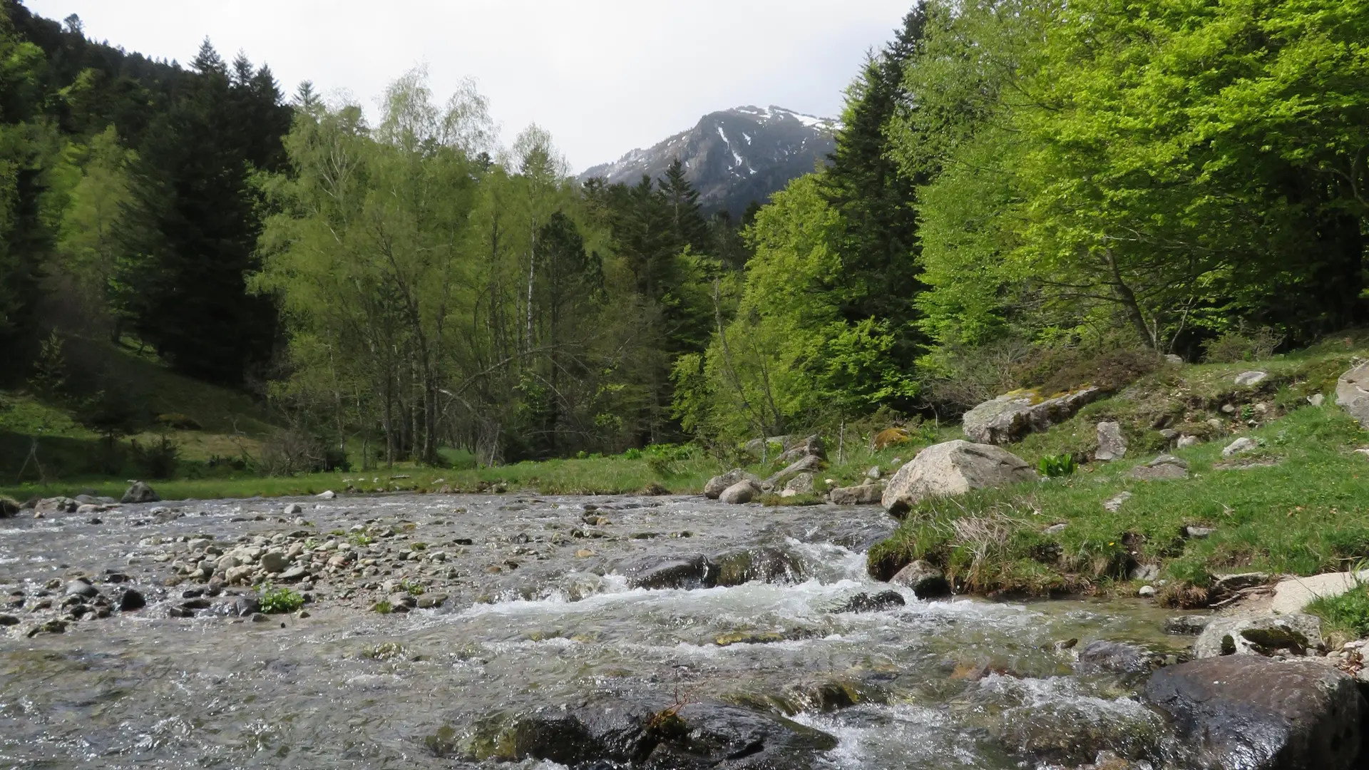 Vue sur le cours d'eau
