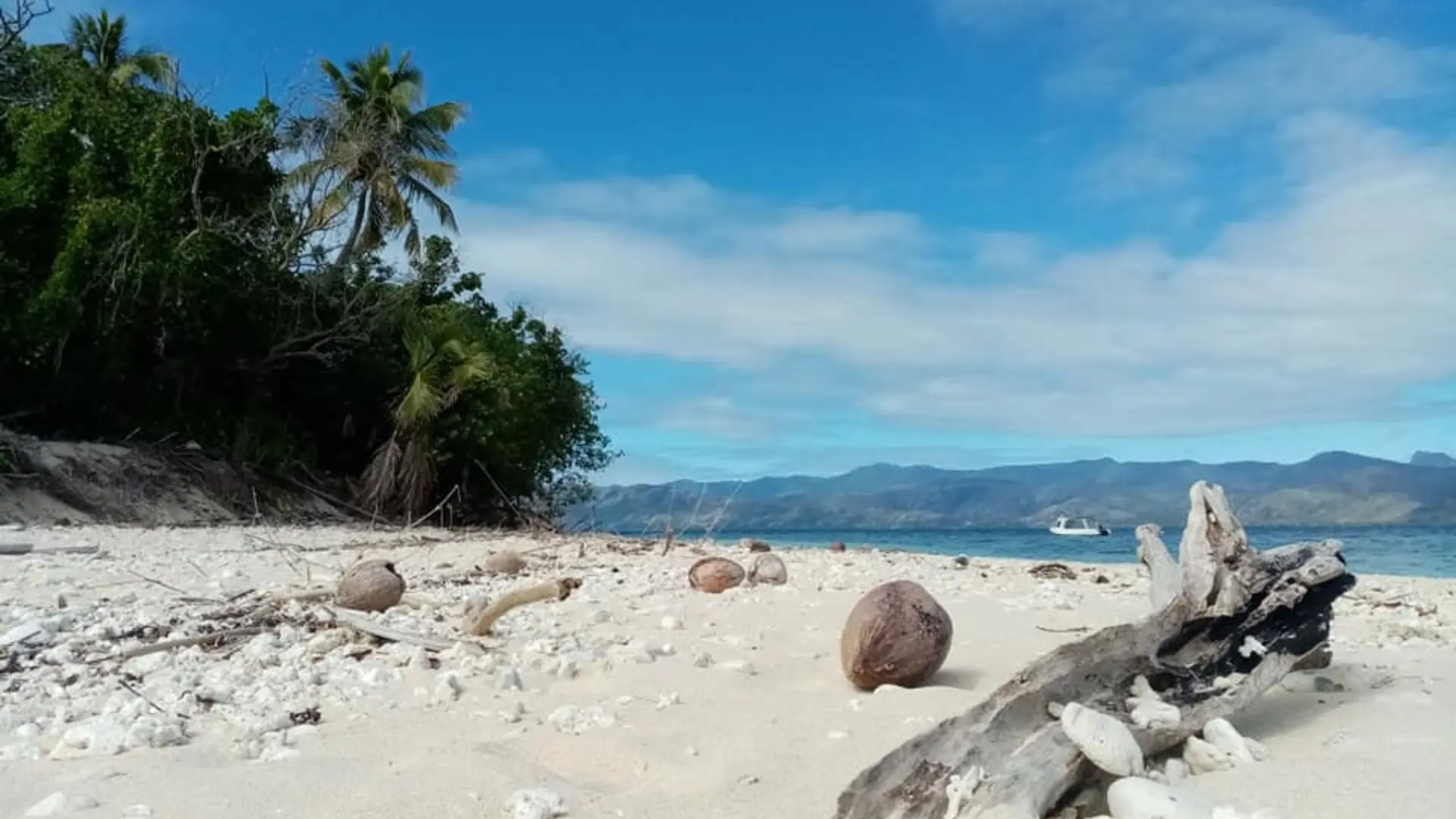 plage, babou, cocotier, Hienghène