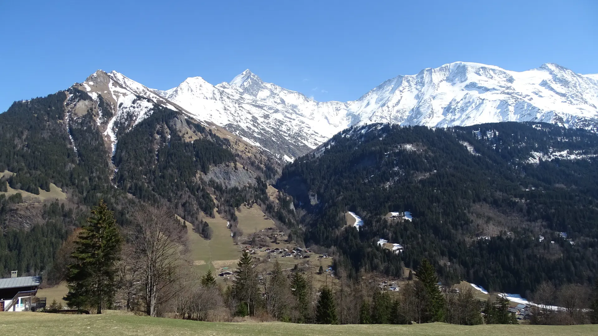 Panorama