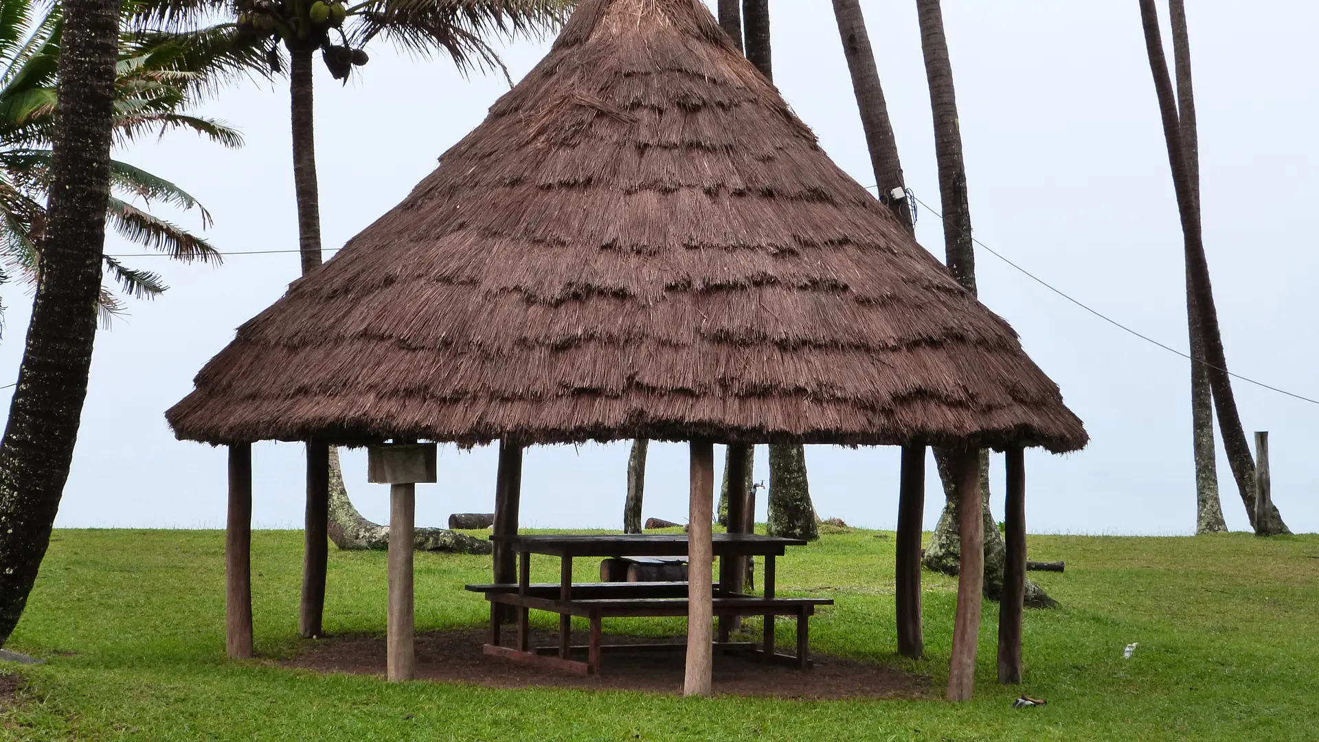 faré, camping de Tiakan, ponérihouen, cocotiers