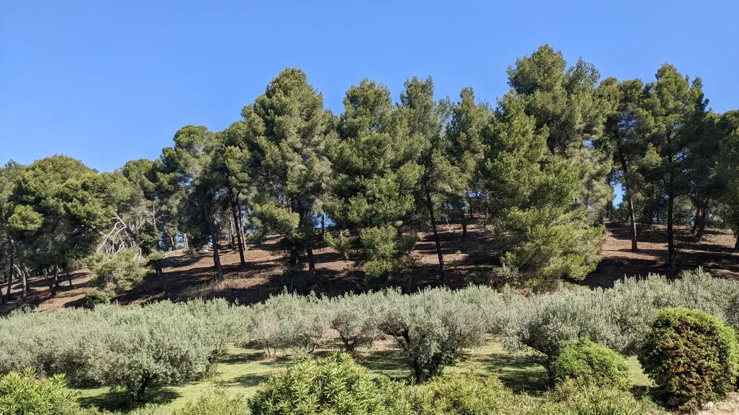 Vue depuis la terrasse