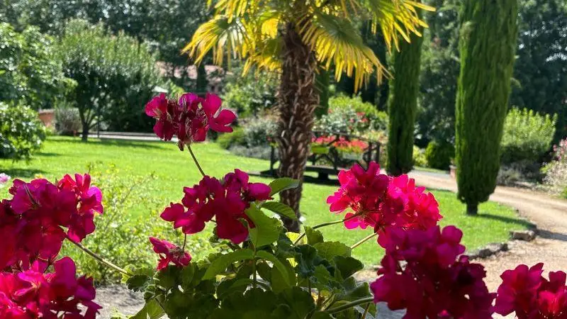 Jardin en été