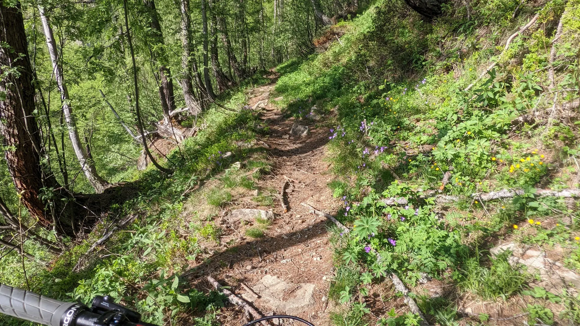 Enduro VTT à Chaillol