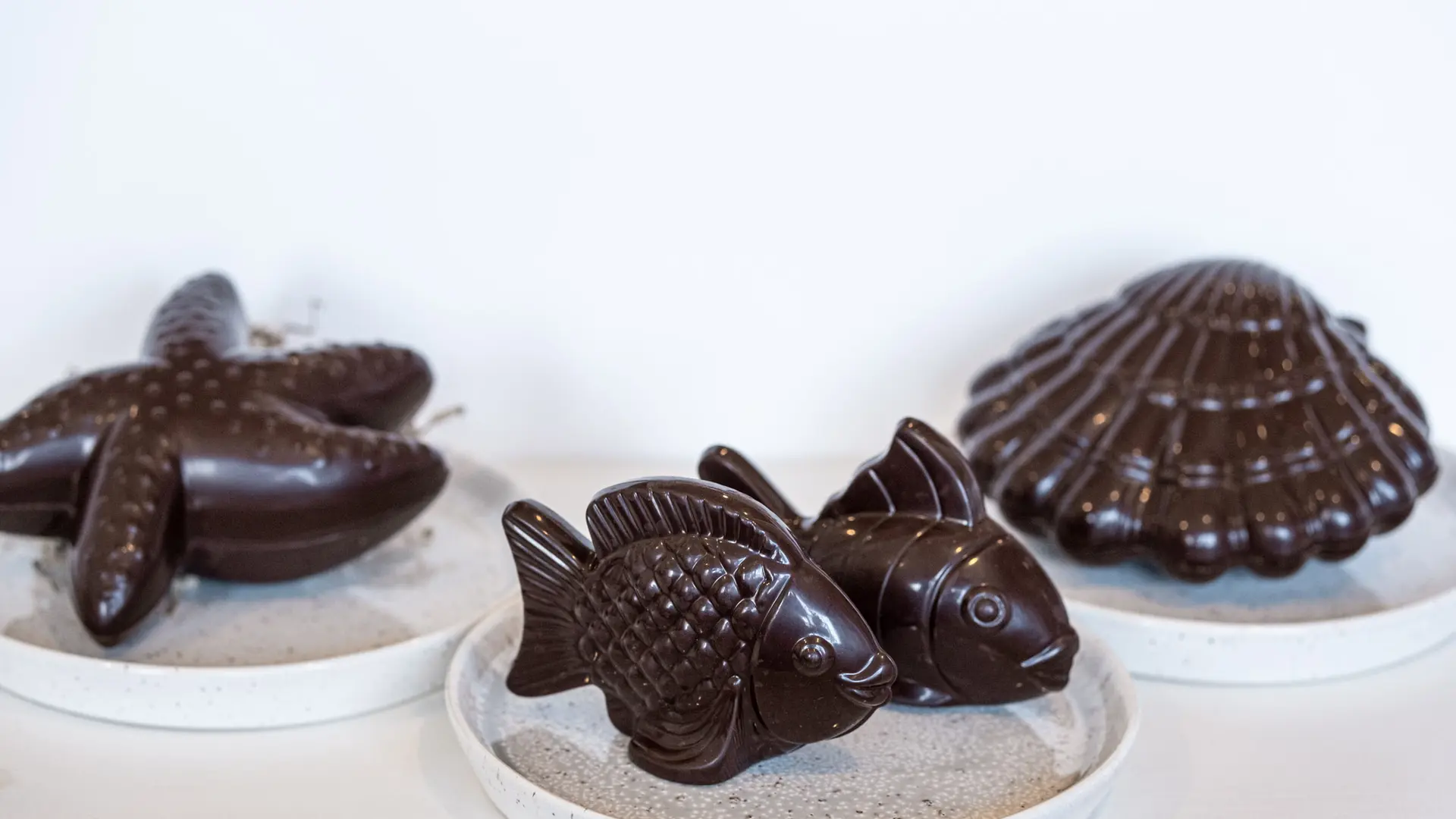 Les sujets de l'océan