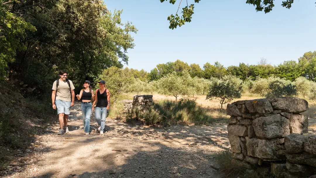 Balade la Parisienne, Velleron
