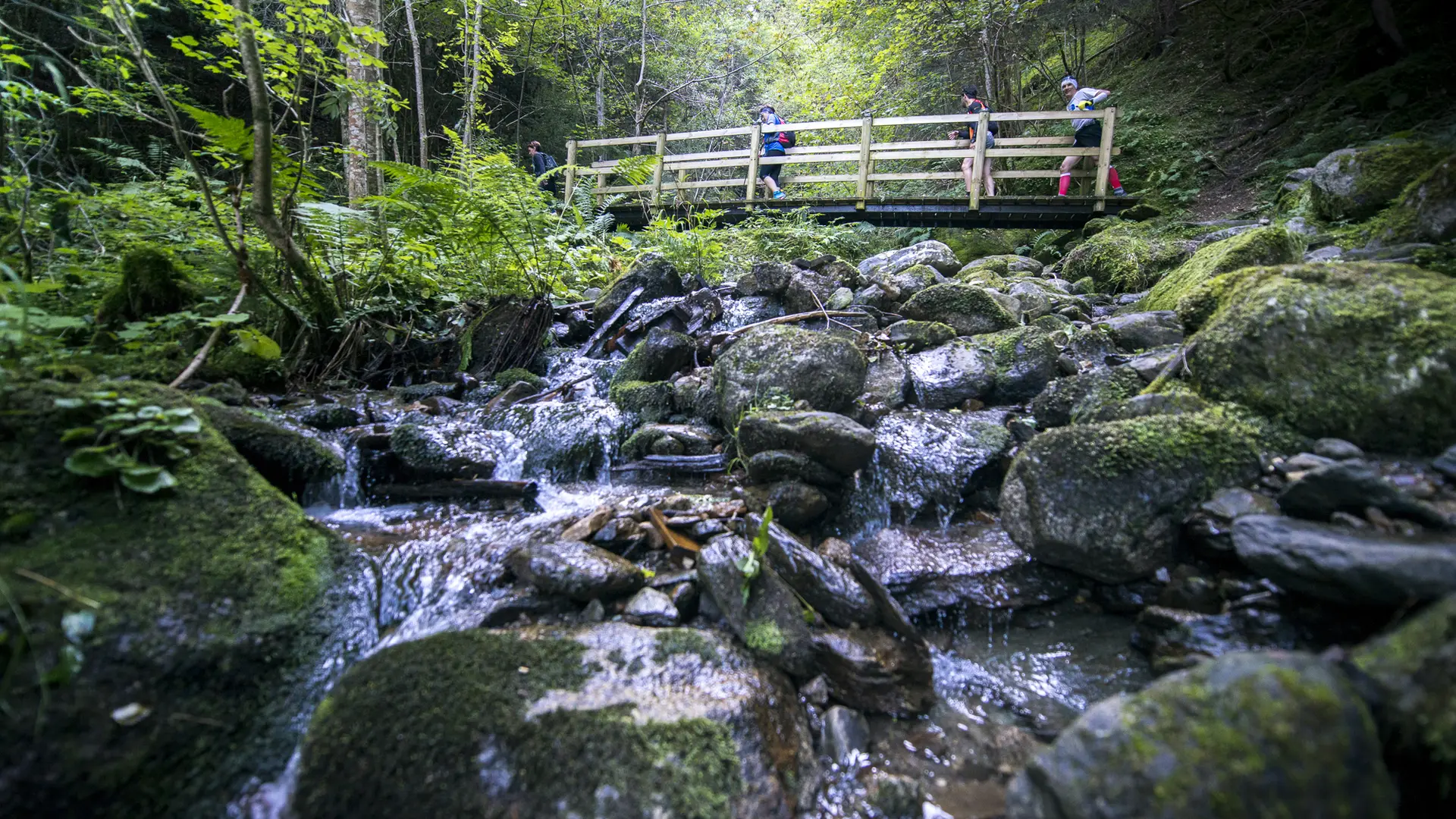 Trail