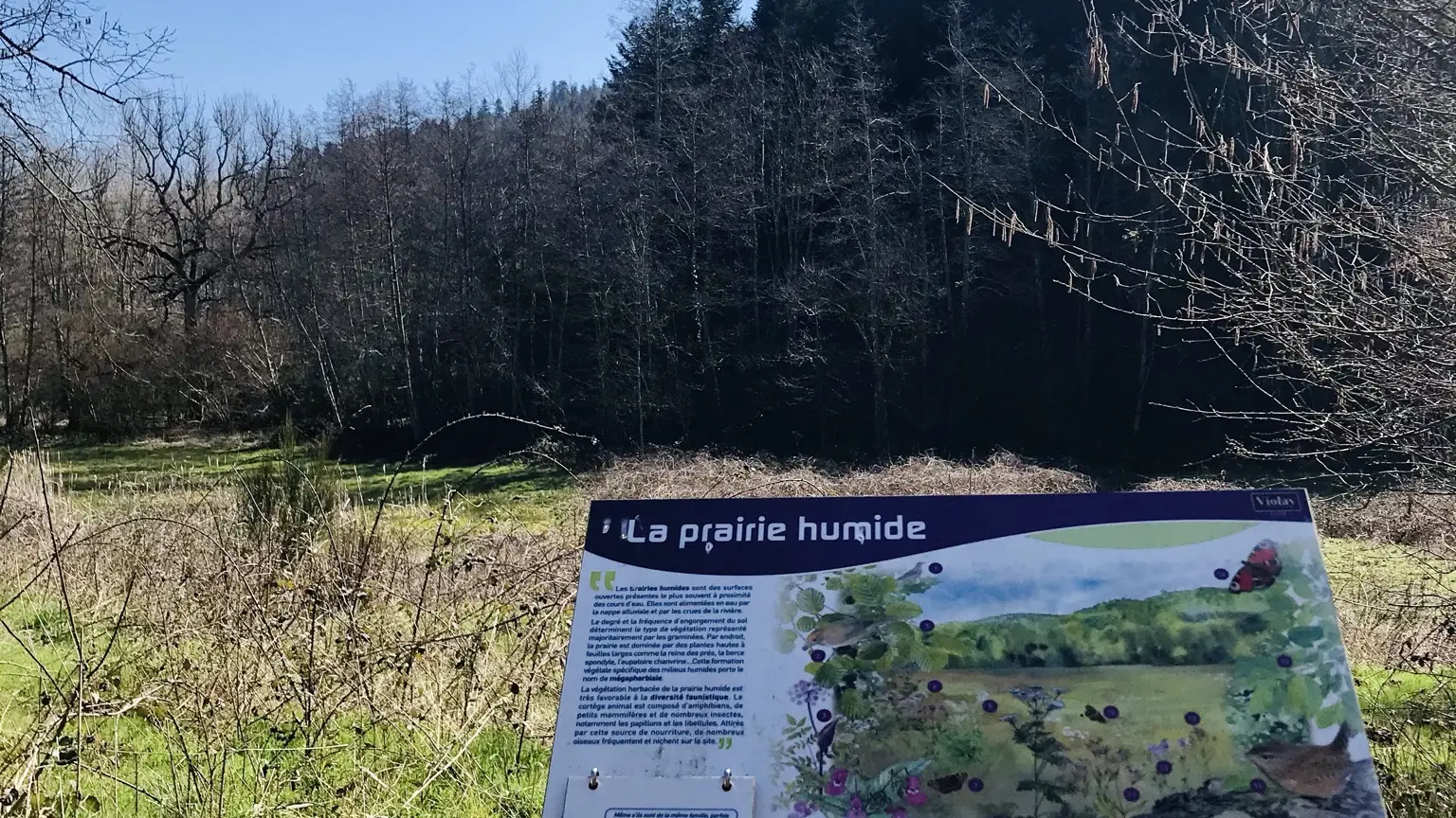 Panneau
