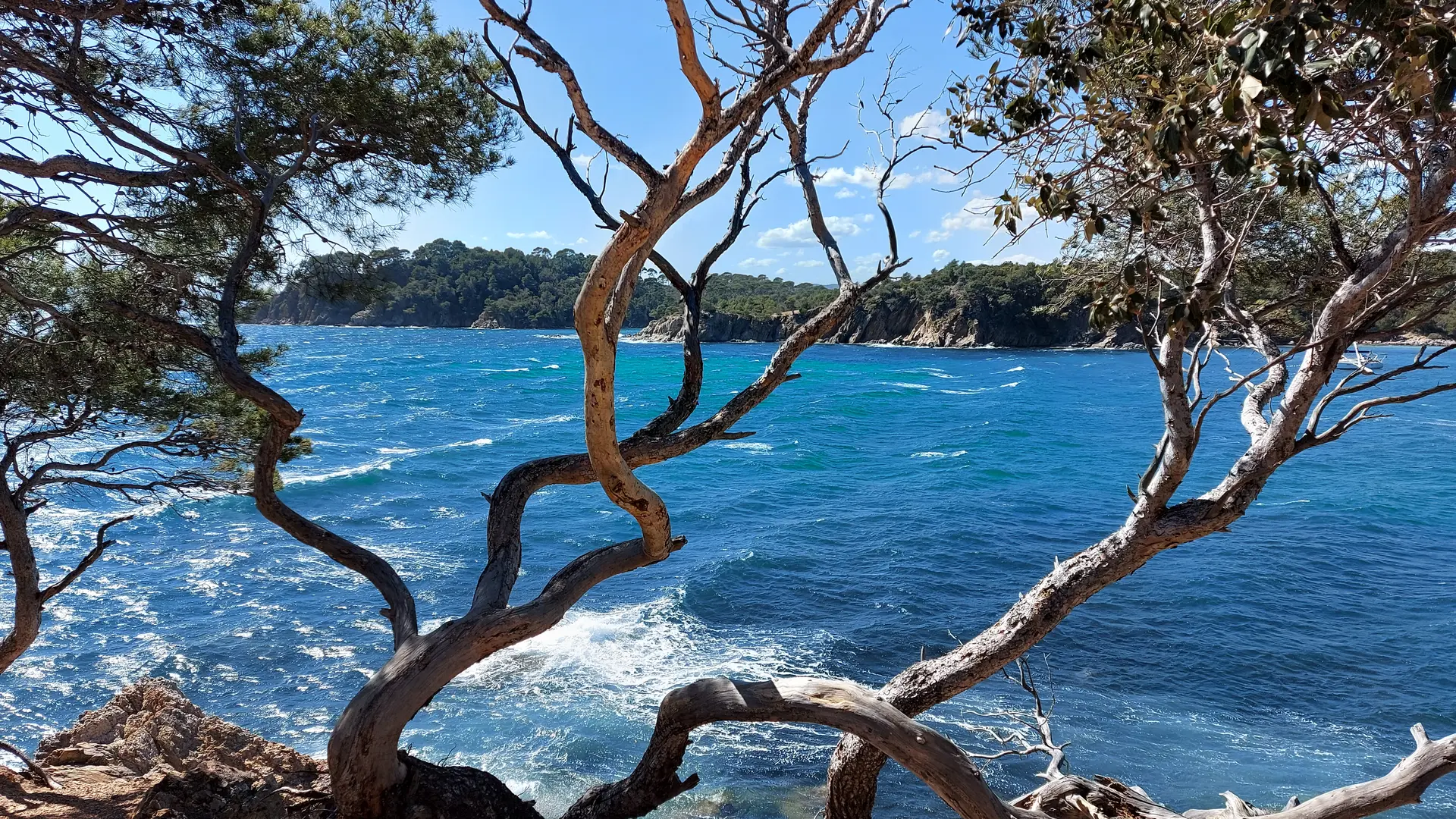 Sentier du littoral à La Londe les Maures