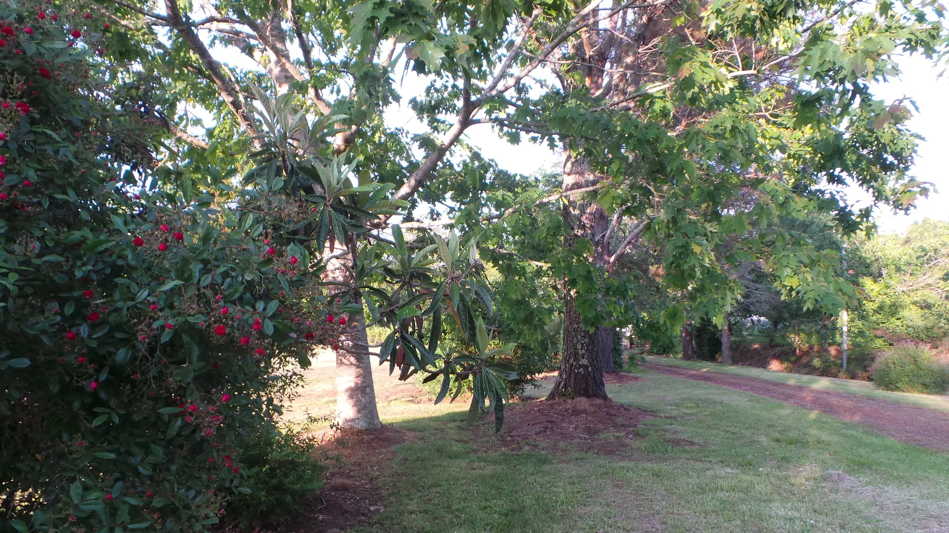 parc