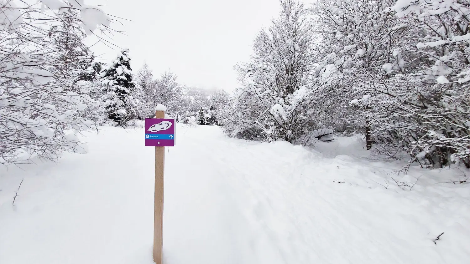 Raquettes Rouanne Haute