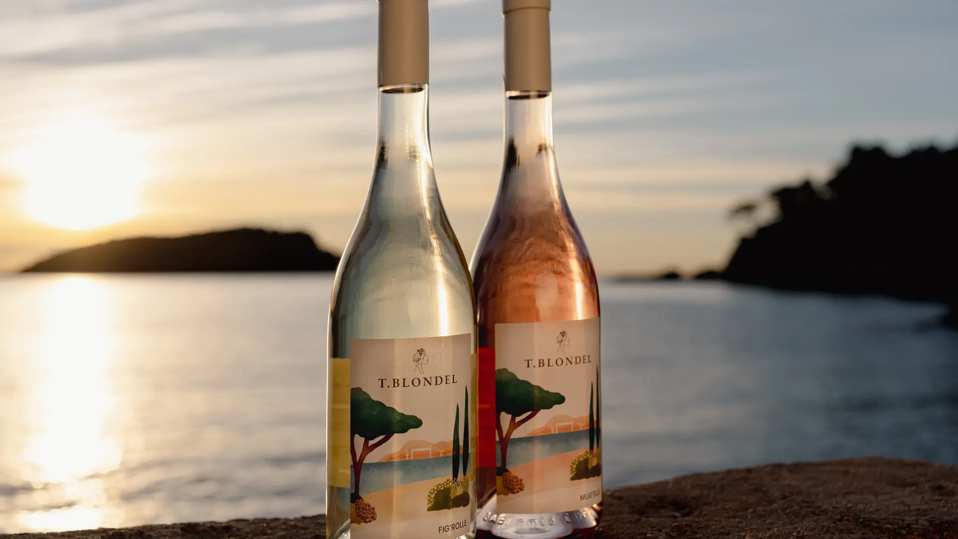 T.Blondel Vins Ciotadens