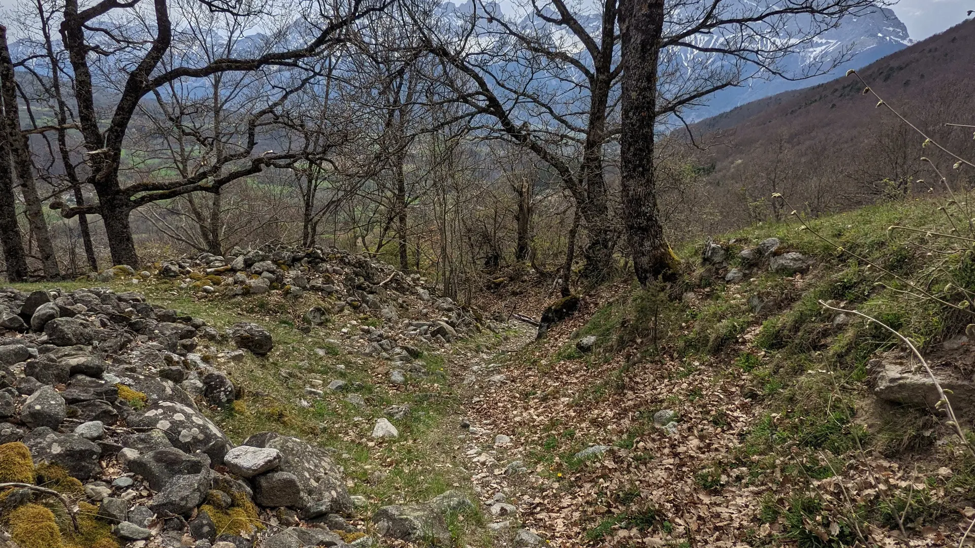 descente de l'esparcelet à VTT