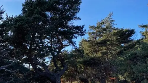 Mont semiol Hiver