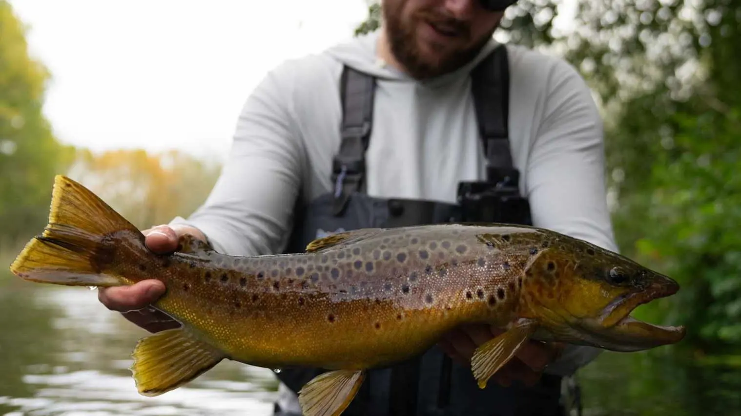 pêche à la truite