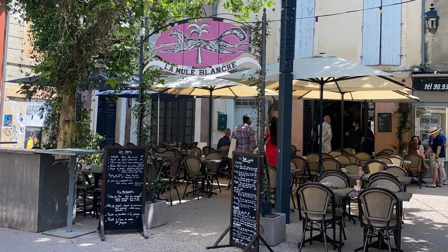 La mule Blanche Arles
