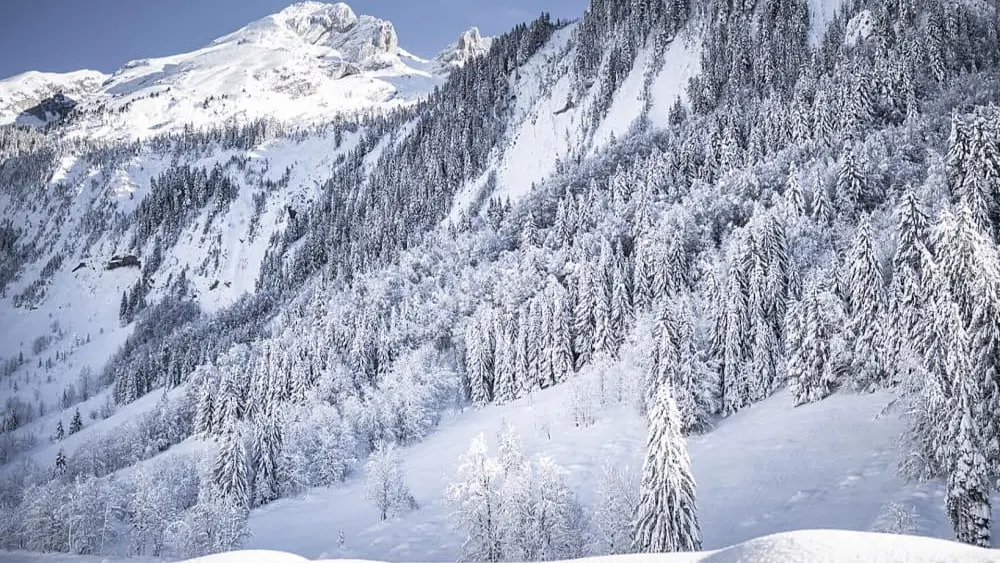 Vue hiver