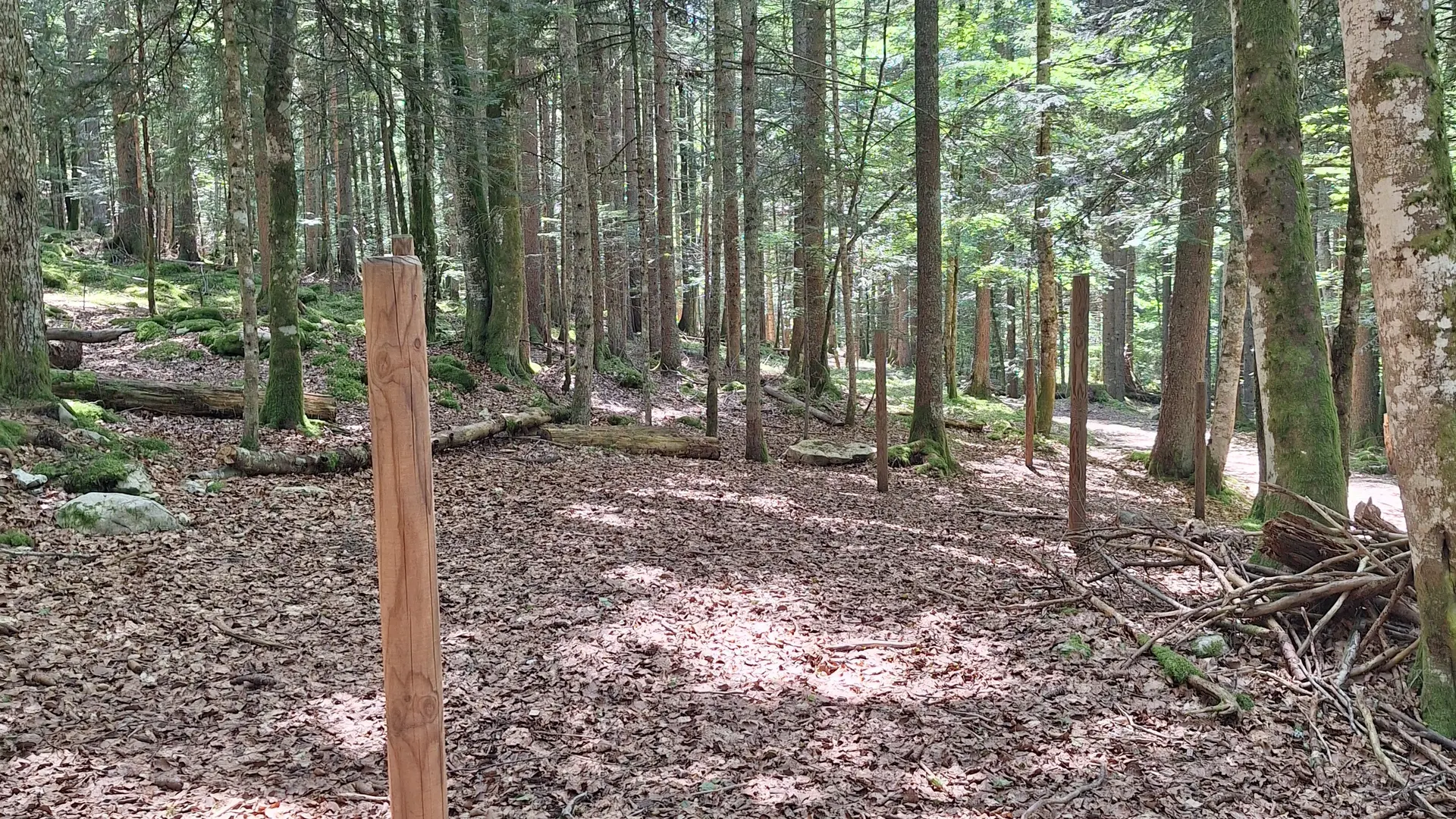 Parcours santé