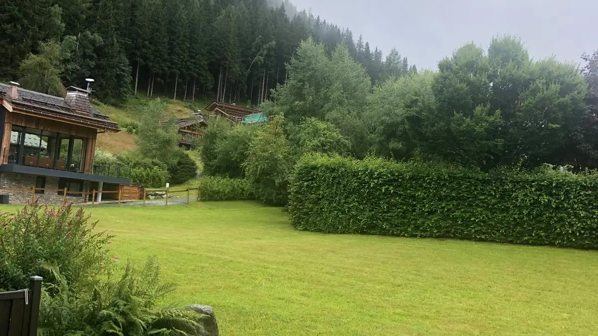 Jardin été 2025