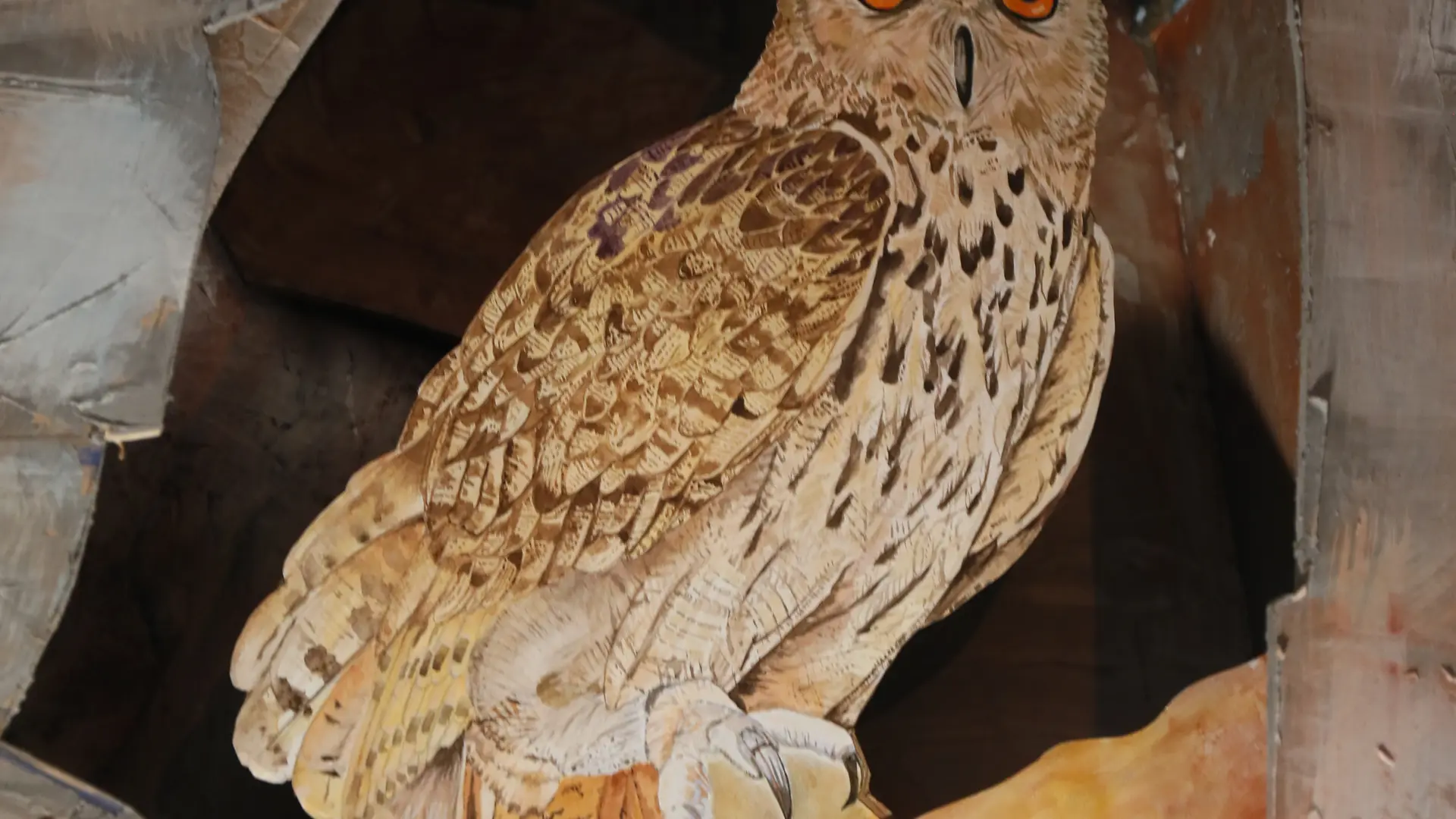 Exposition Les animaux, la nuit La Maison du Mulet