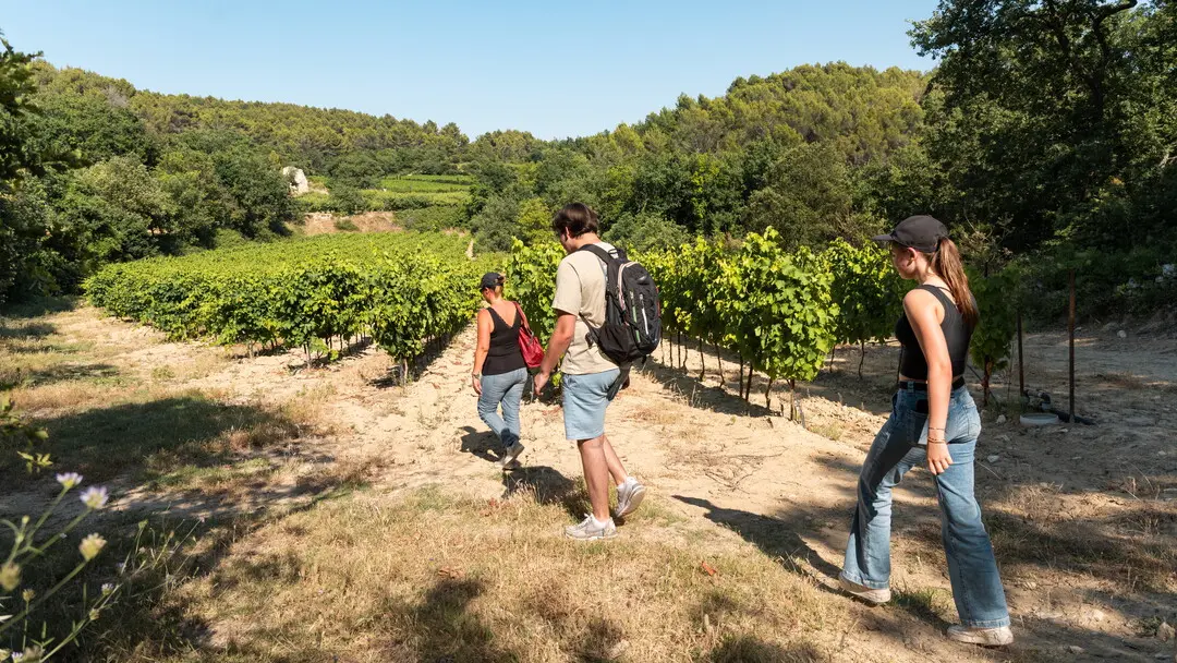 Balade la Parisienne, Velleron