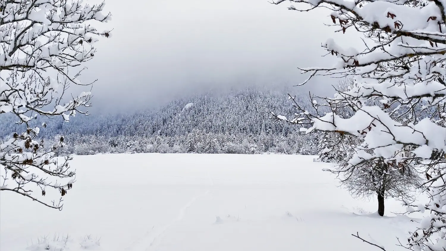 Raquettes Rouanne Haute