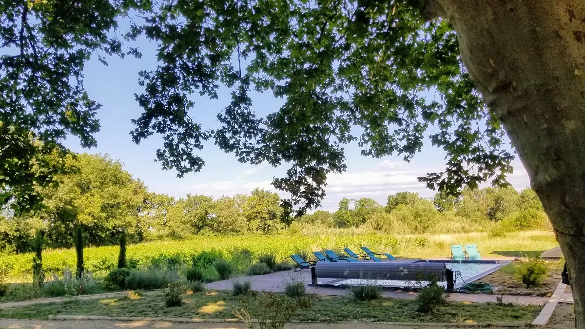 La piscine et son environnement