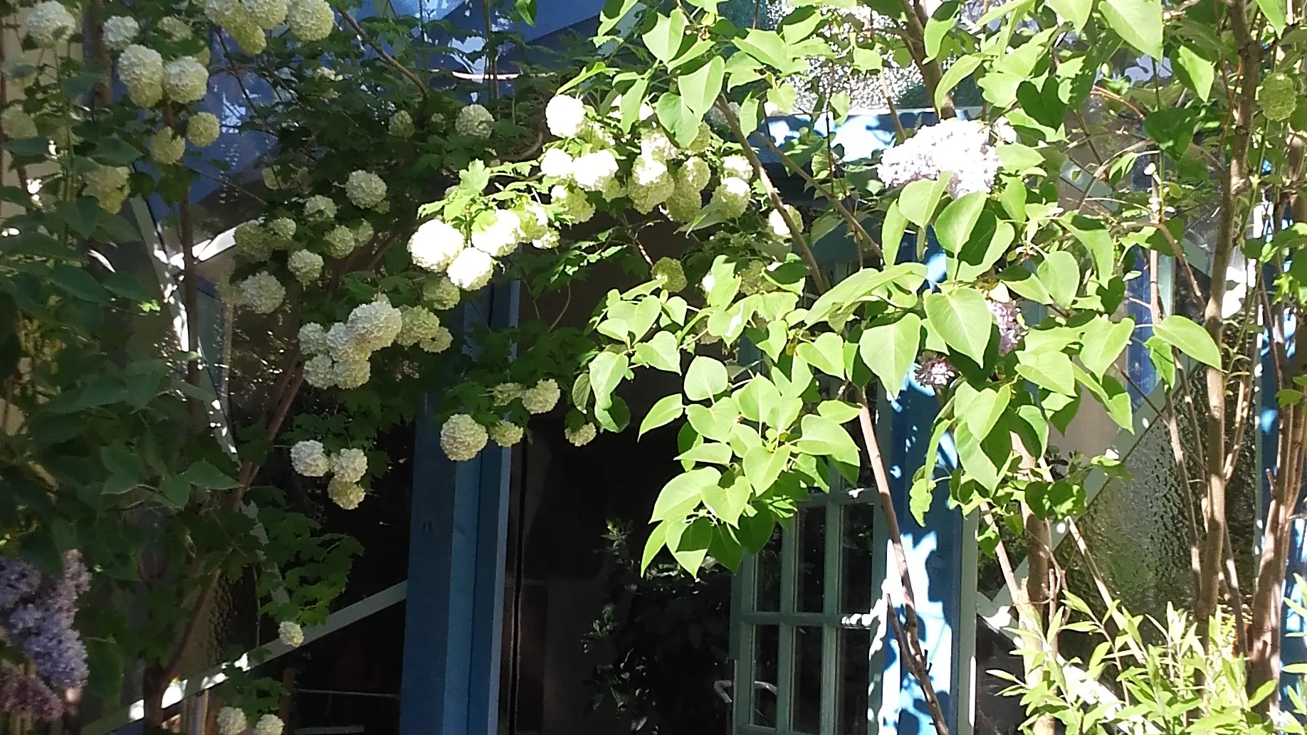 Le jardin