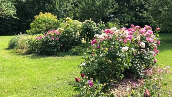 les senteurs du jardin
