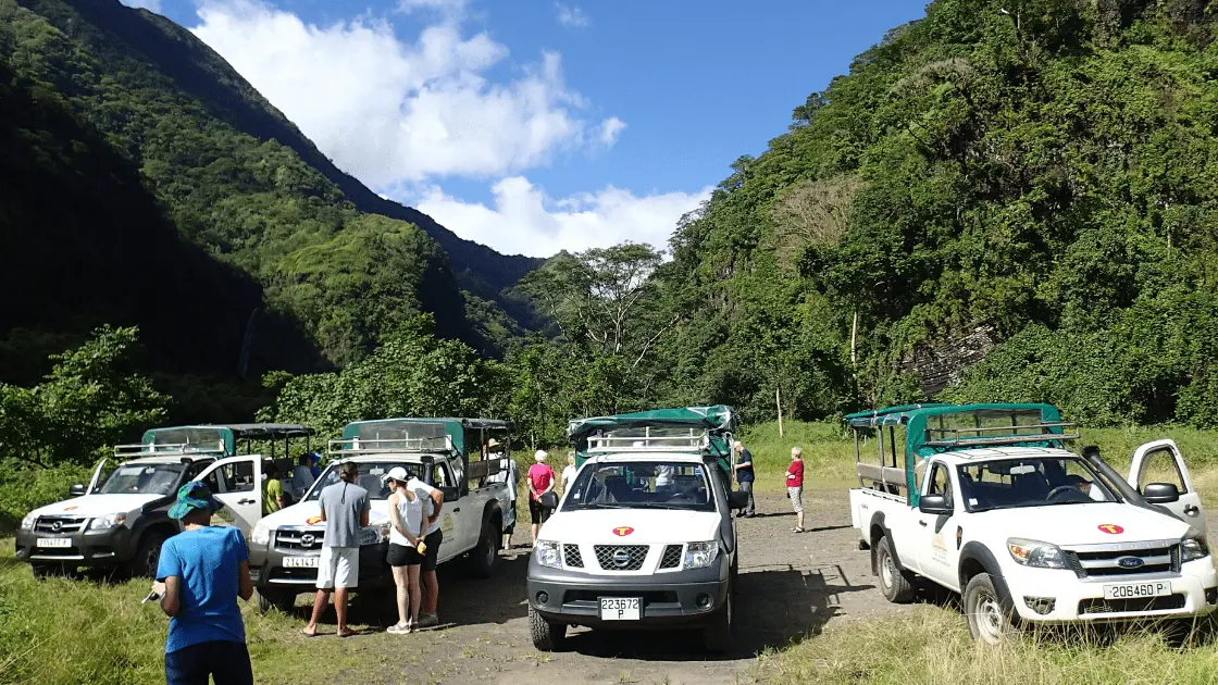 Tahiti Safari Expedition