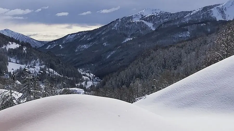 vue sur les montagnes enneigées, nature, forêt