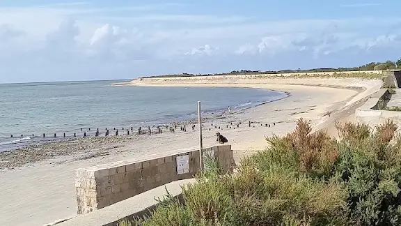 Plage du Martray à 50 mètres du restaurant