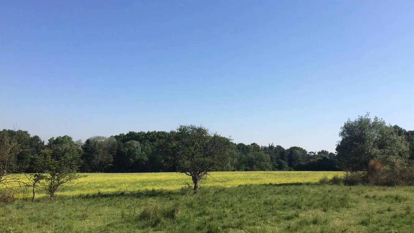 Plateau de La Crau