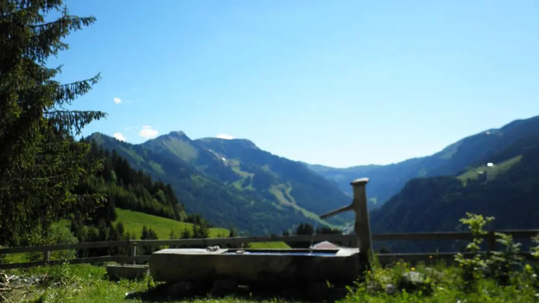 Le Linga et les Boudimes